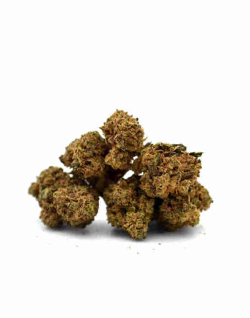 Fleurs de CBD Amnesia - Small Buds à €2.34 le gramme
