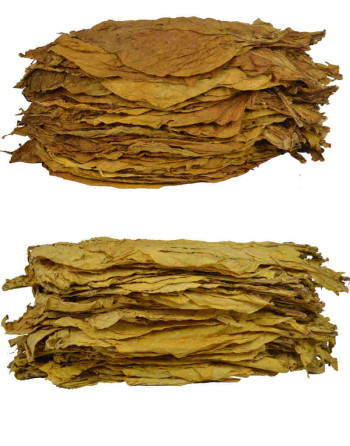 Mélange de feuilles de tabac virginia blond et  oriental samsoun - 49.90 euros le kilo !