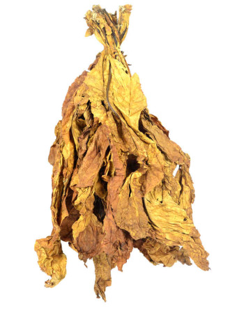 Feuilles naturelles de tabac virginia orange en bouquet