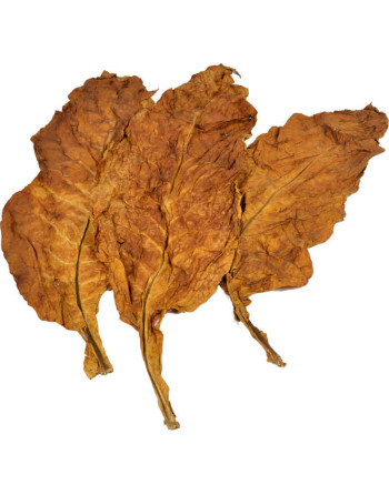 3 feuilles naturelles de tabac virginia orange