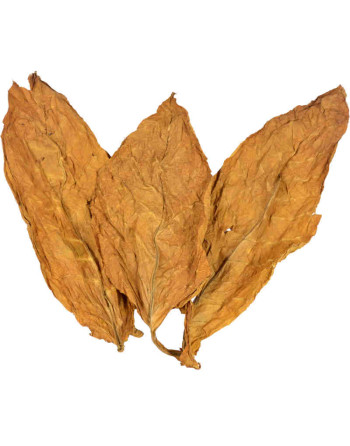 3 feuilles naturelles de tabac oriental krumovgrad