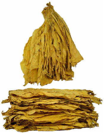 Achat au kilo de feuilles entières de tabac Virginia Blond