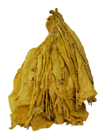 Feuilles naturelles de tabac virginia blond en bouquet