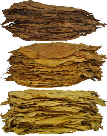Mélange de feuilles de tabac virginia, burley et oriental - 49.90 euros le kilo !